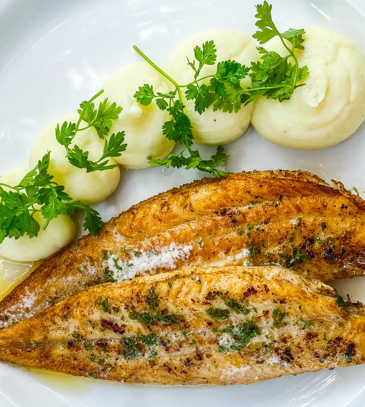 The Best Wine Pairing for Sole Meunière