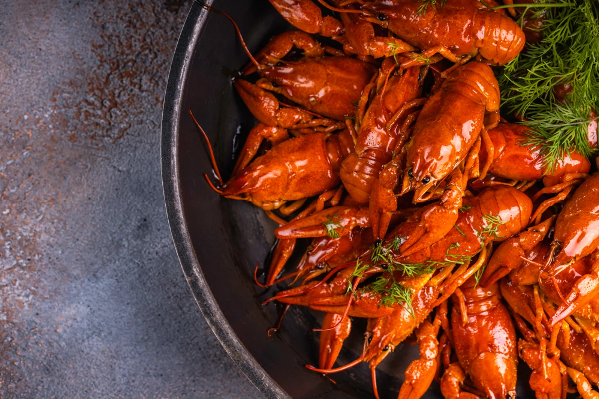 Flusskrebse Rezept: Die besten Weine zu Kräftor