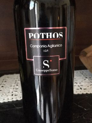 Campania Aglianico Pothos