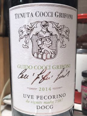 Vigneti San Basso Falerio